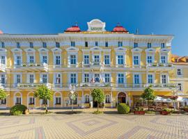 萨沃可豪泰Spa酒店，位于弗兰季谢克矿泉镇的酒店