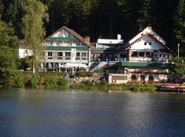 Hotel Ebnisee anno 1879，位于Ebni的酒店