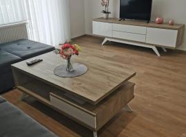 Apartman Juric，位于波素斯捷的酒店