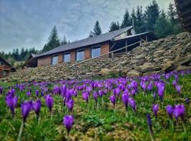 Cabana Dor de Apuseni，位于肯佩尼的山林小屋