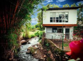 Rainforest Cabin in Escazu，位于Escazu的酒店