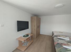 Apartman Todorovic，位于上米拉诺瓦茨的酒店