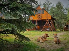 Osada nad Wdą w Borsku，位于博尔斯克的酒店