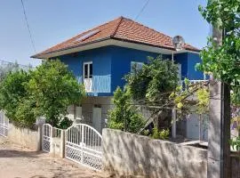Casa Azul Vales