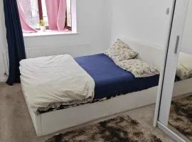 Spacious flat with free parking in Croydon