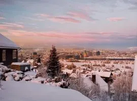 Apartment in Lillestrøm with free parking and great view, sleep 3 people