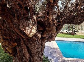 Olive Sense Villa with jacuzzi and sauna，位于阿凡杜的酒店