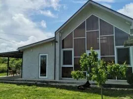 Улица Лазурна