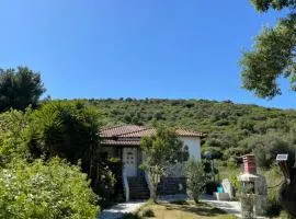 Villa Alexandros