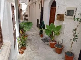 Cortile Maggiore Home