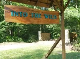 INTO THE WILD - Nos 5 logements "Atypiques"