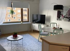 City apartment Pikkuvuori，位于图尔库Luostarinmäki Handicrafts Museum附近的酒店