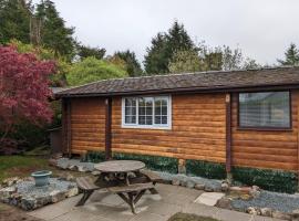 Snowdonia Log Cabin 2，位于特兹西尼德的酒店