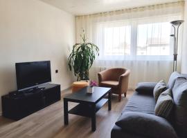 Räpina Apartment，位于赖皮纳的酒店