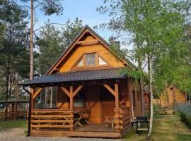 Domek Borsk Całoroczny