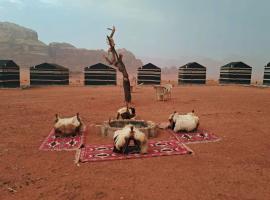 Wadi Rum Bedouin Heart Camp，位于瓦迪拉姆的酒店
