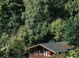 Herons Lake Retreat Lodges，位于Caerwys的度假村