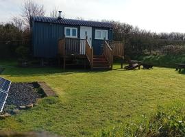 Quincecote shepherds hut, Hartland，位于哈特兰的乡村别墅