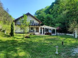 Casa Licurici，位于Govăşdia的酒店