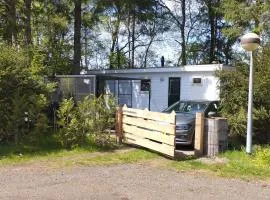 Chalet met veel privacy in bosrijke omgeving