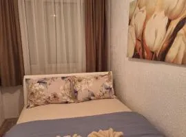Apartman 8