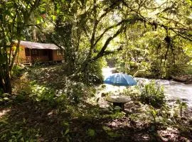 Bosque Secreto - Private Cabin and Camping