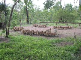 Nina's Ark Wildlife Sanctuary Package，位于Batchelor的酒店