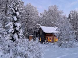 Gemütliche Blockhütte mit Außentoilette und Badezimmer im Haupthaus，位于Jörn的酒店