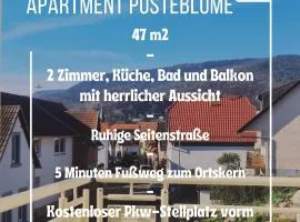 Apartment Pusteblume mit Balkon, neu teilrenoviert