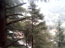 Himalayan Hostel Triund Trekking Hostel，位于达兰萨拉的酒店