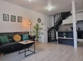 1- appartement duplex 44 m2