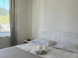 Kiadó apartman，位于博尔塞克的酒店