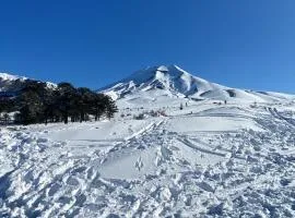 Refugio en Malalcahuello