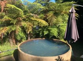 Whare&geothermal pool by lake Taupo