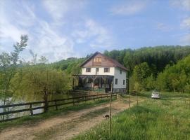 Cabana Țibleș Bichigiu，位于Bichigiu的酒店