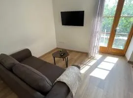 Agréable T2 rénové à neuf