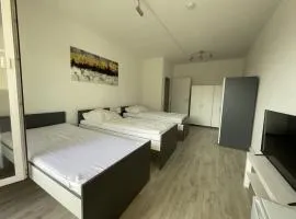Am Ring Monteurzimmer Apartment Böhlen