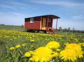 Gula Vagnen Nostalgi och natur i unik cirkusvagn