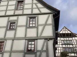Bad Wimpfen Altstadt - ruhige, private Unterkunft