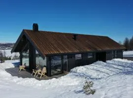 Golsfjellet - new modern cabin with fantastic view