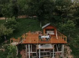 Cioclovina Tribe