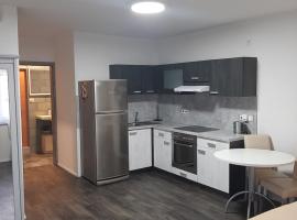 Apartman u lesa，位于Horšovský Týn的酒店