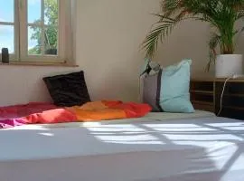 Forrest Apartments in Freiberg Min stay 2 nights Max Number of Guest 1 Aprt 1