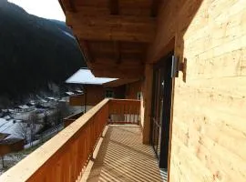 Modern chalet with sauna near ski area in Saalbach Hinterglemm Salzburgerland