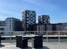 First Apartment Lillestrøm，位于利勒斯特罗姆的公寓