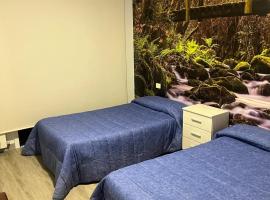 Hostal Carpinteiras，位于Rodeiro的酒店