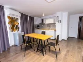 Мезонет Пасажио