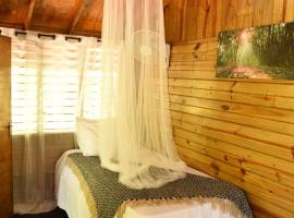Somali Jungle Eco Lodge and Cabins，位于Goldsons Corner的山林小屋