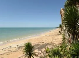 Somali Jungle Eco Lodge and Cabins
