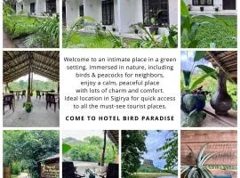 Hotel Bird Paradise